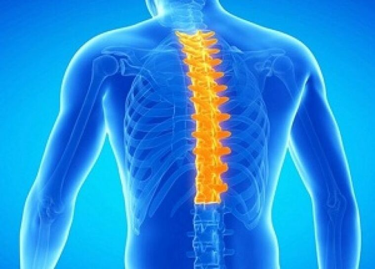 Osteochondróza hrudní páteře